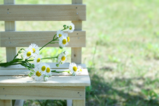注文住宅60坪の土地の建物画像