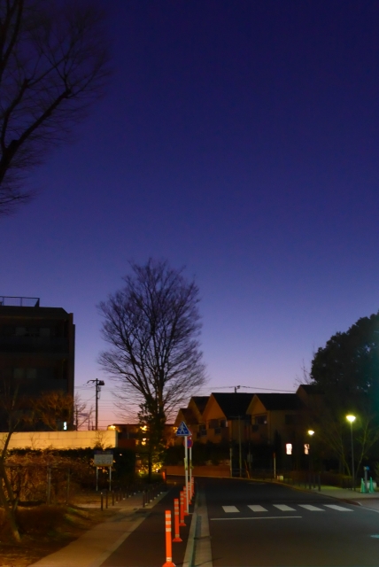 戸建 マンション どっち画像