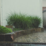 中庭 雨よけイメージ画像